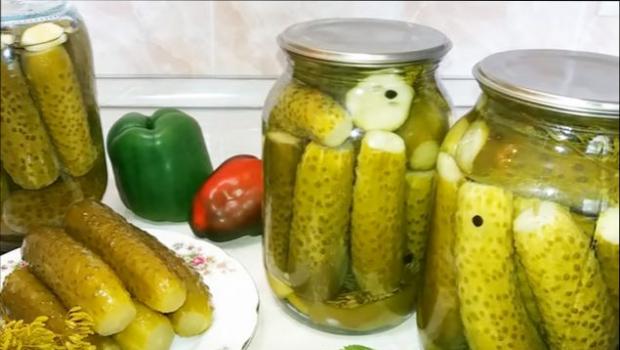 Cucumbers for the winter - salted and pickled preparations in jars