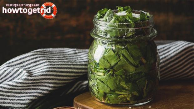 How to prepare sorrel in jars for the winter